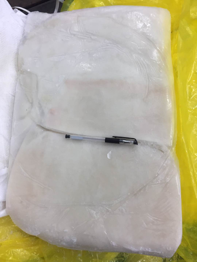 冷冻鱿鱼片 FROZEN GIANT SQUID FILLET