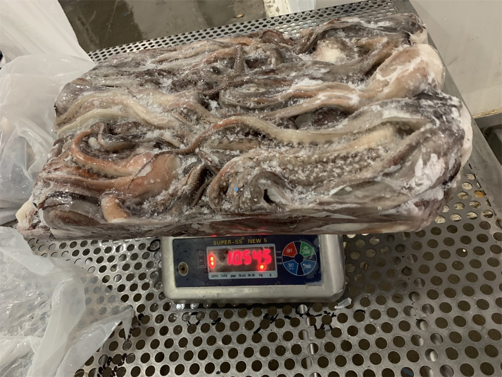 冷冻鱿鱼须 FROZEN GIANT SQUID TENTACLES